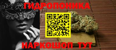 гидропоника Будённовск