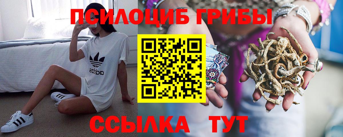 Кувандык  Псилоцибиновые грибы Psilocybine cubensis  Вход с VPN 
