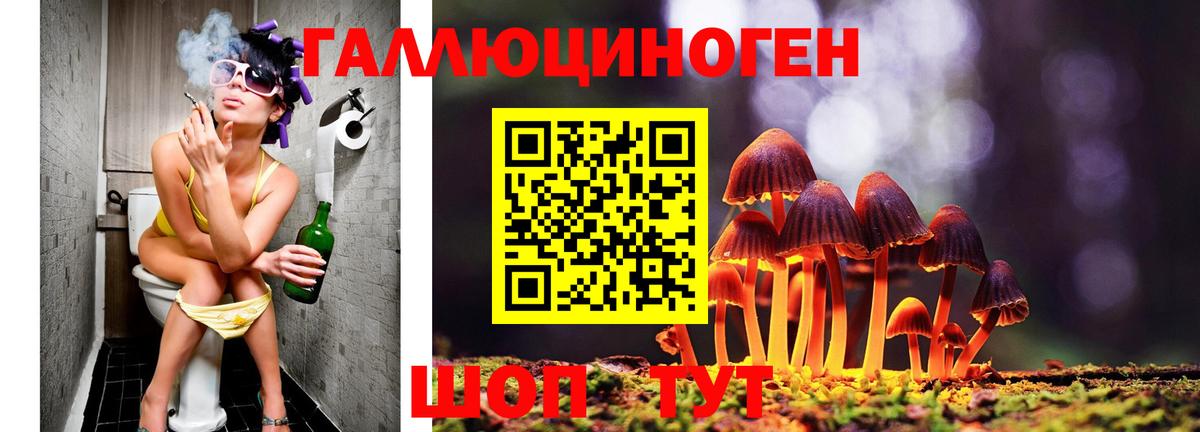 Псилоцибиновые грибы Psilocybe Кувандык